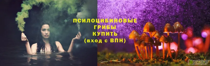 Псилоцибиновые грибы Magic Shrooms  Ставрополь 